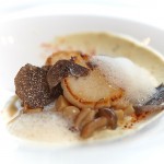 scallop