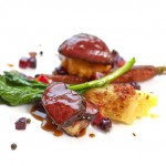 venison